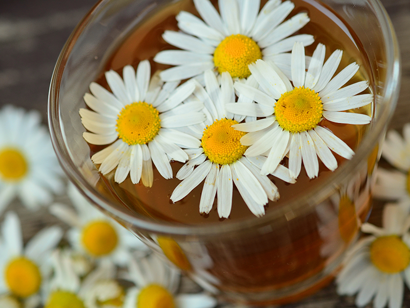 Picture of cup of chamomile tea with chamomile flowers floating on the top
