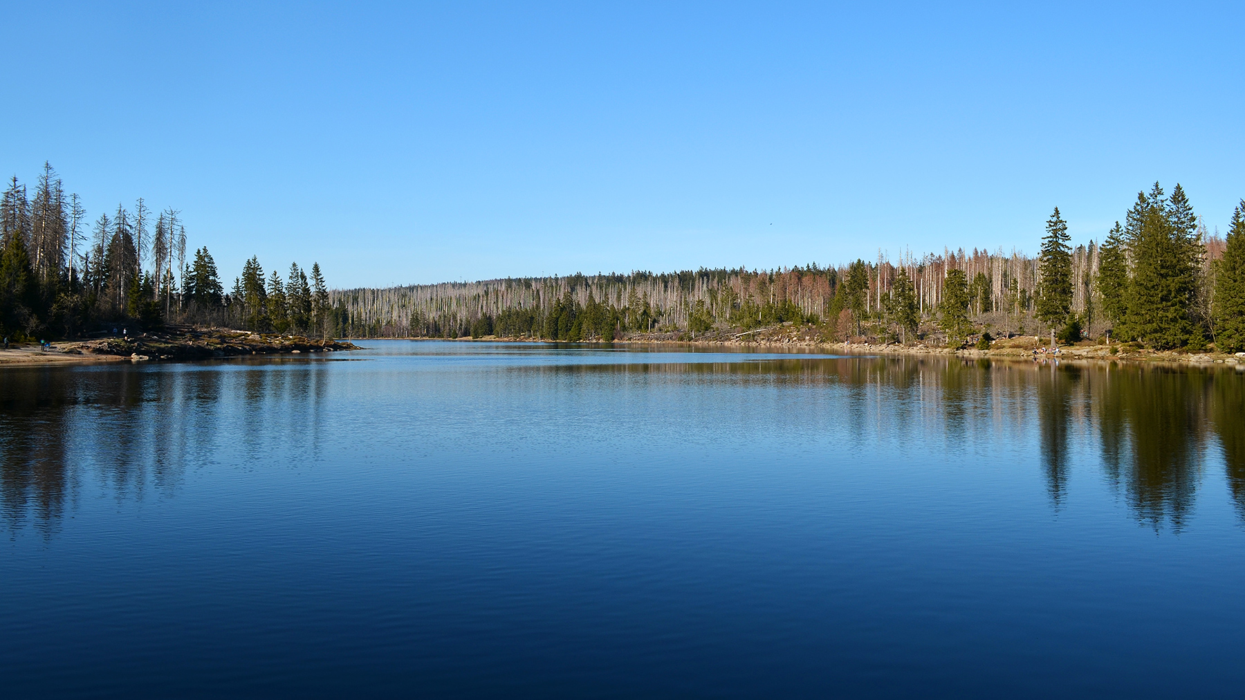 nationalparkharz_oderteich