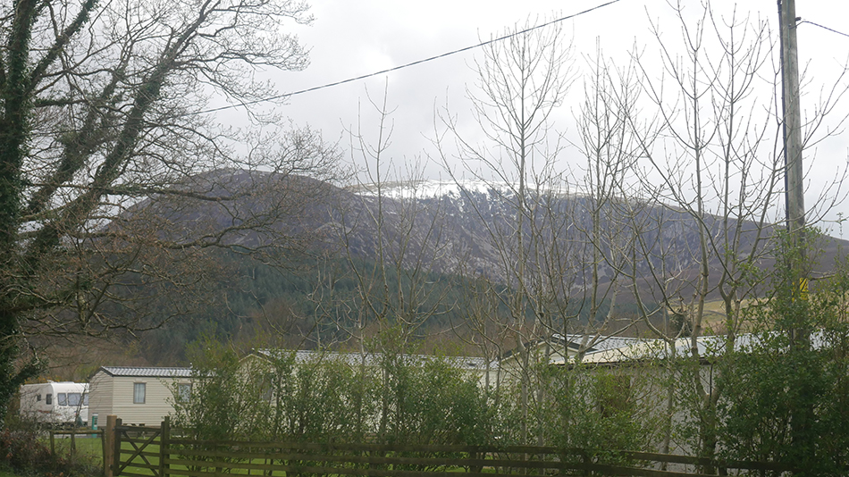 Small homes surrounded by grass very close to snow on the mountain.