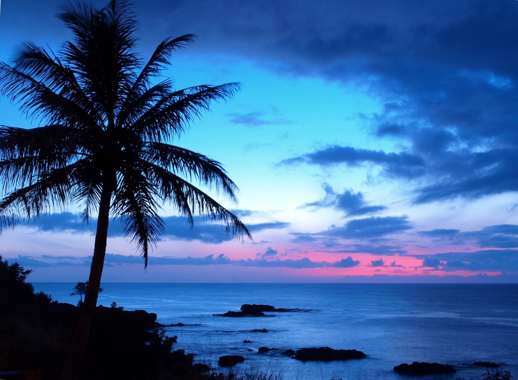 Hawaii beachside. Picture credit: travactours.com