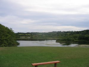 Cosmeston Lakes Country Park, where the proposed wakeboarding centre will be.