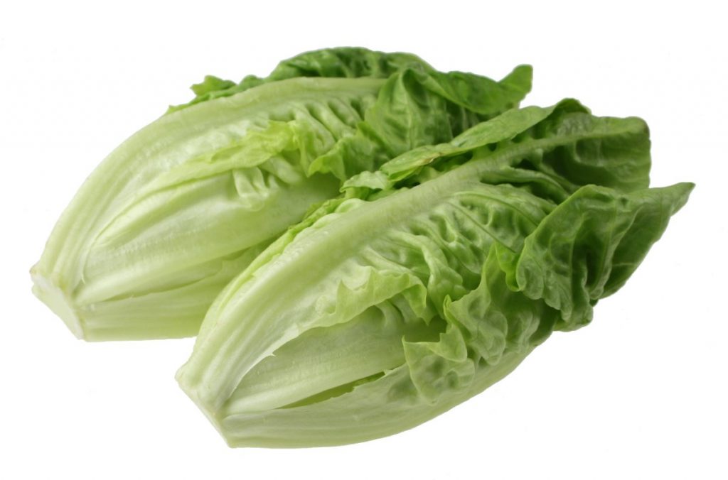lettuce02-lg