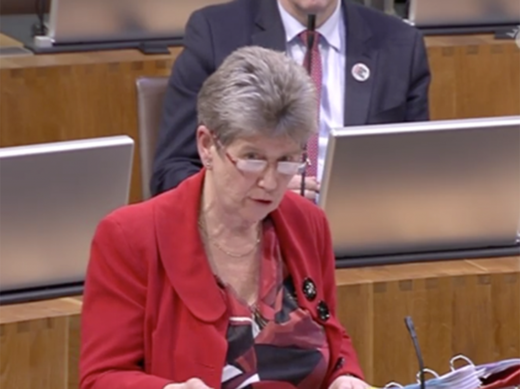 Jane Hutt AM confirmed the Welsh government's belief that the UK is stronger together.