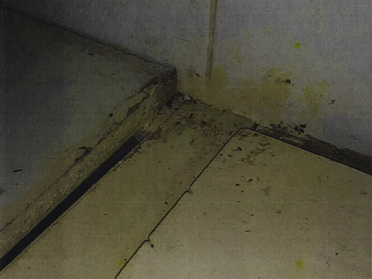 Mouse droppings on a work service found by inspectors.
