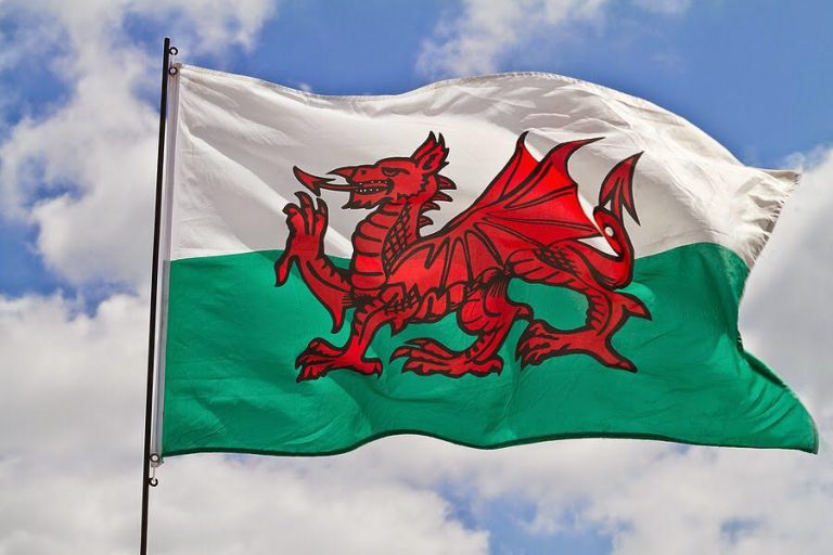 What is the story behind Welsh Red Dragon - Live Cardiff