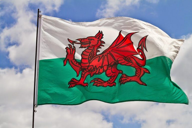 What is the story behind Welsh Red Dragon Live Cardiff