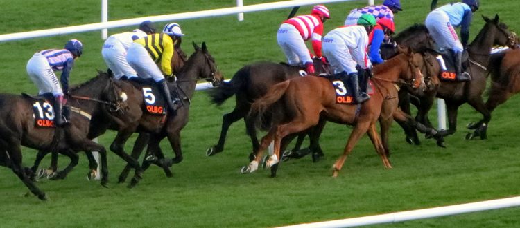 By Carine06 from UK (Quevega's mares' hurdle) [CC BY-SA 2.0 (http://creativecommons.org/licenses/by-sa/2.0)], via Wikimedia Commons