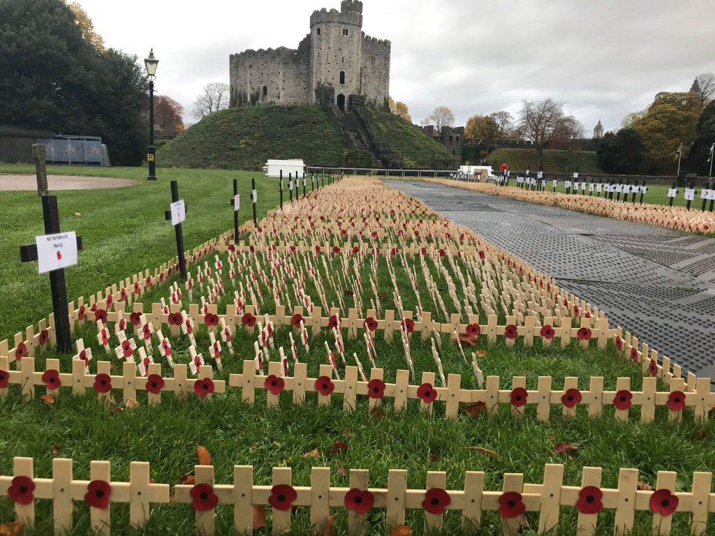 field of remembrance The Cardiffian