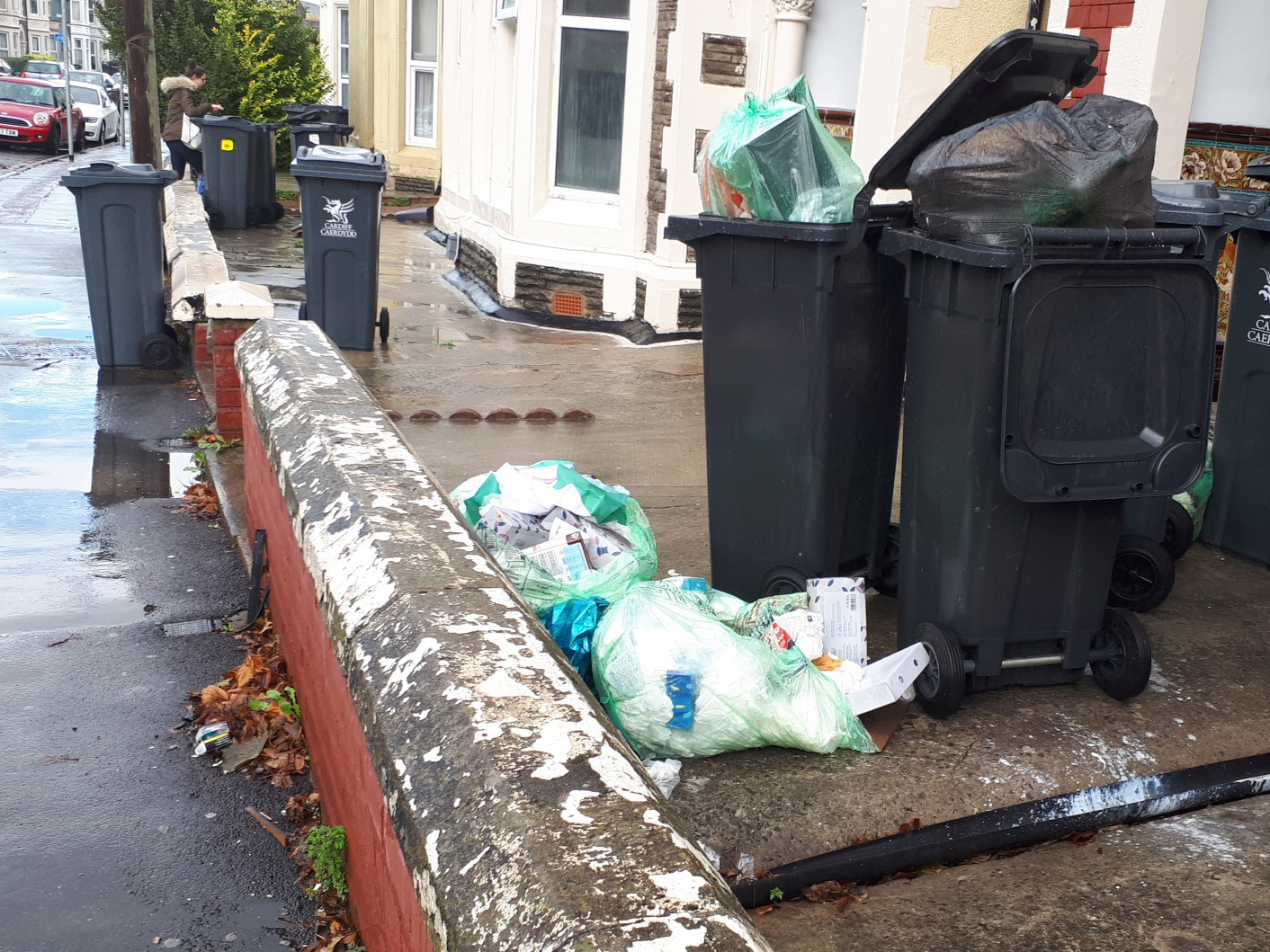 Residents act to clean up a gateway to Cardiff city centre The Cardiffian