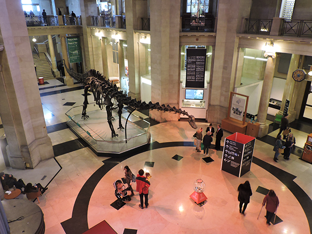Dippy the Dino in the entrance hall at the National Museum Cardiff