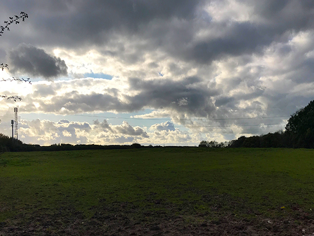 Landscape photo of green field