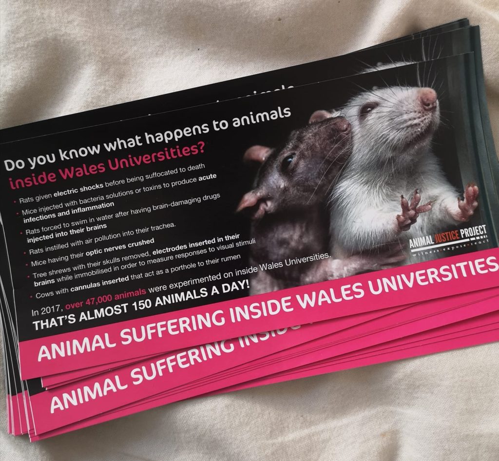 Campaigners oppose animal testing at Cardiff University - The Cardiffian
