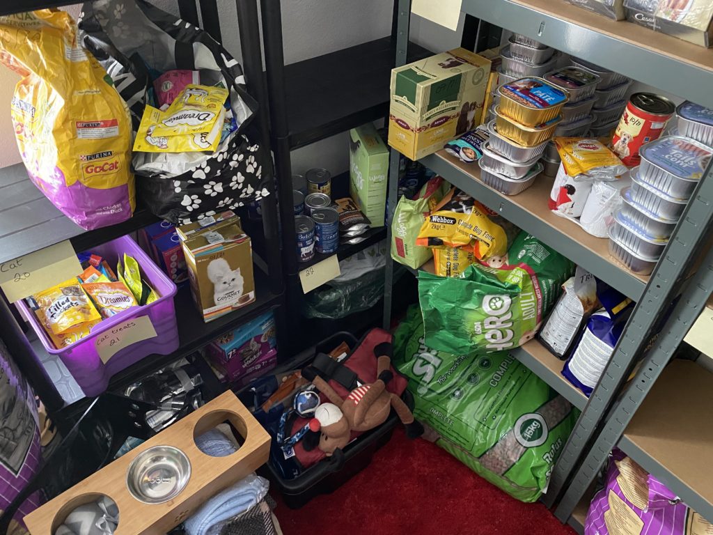 Storm Dennis Pet food bank offers meals, toys and beds The Cardiffian